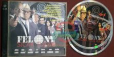 Sıcak Tuzak - Felony (1994) Orijinal VCD Film Satış
