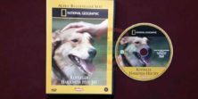 National Geographic - Köpekler Hakkında Her Şey Orijinal VCD Film Satış